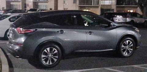 Nissan Murano 2015