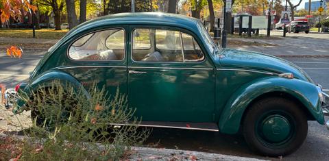 Volkswagen Beetle 1967
