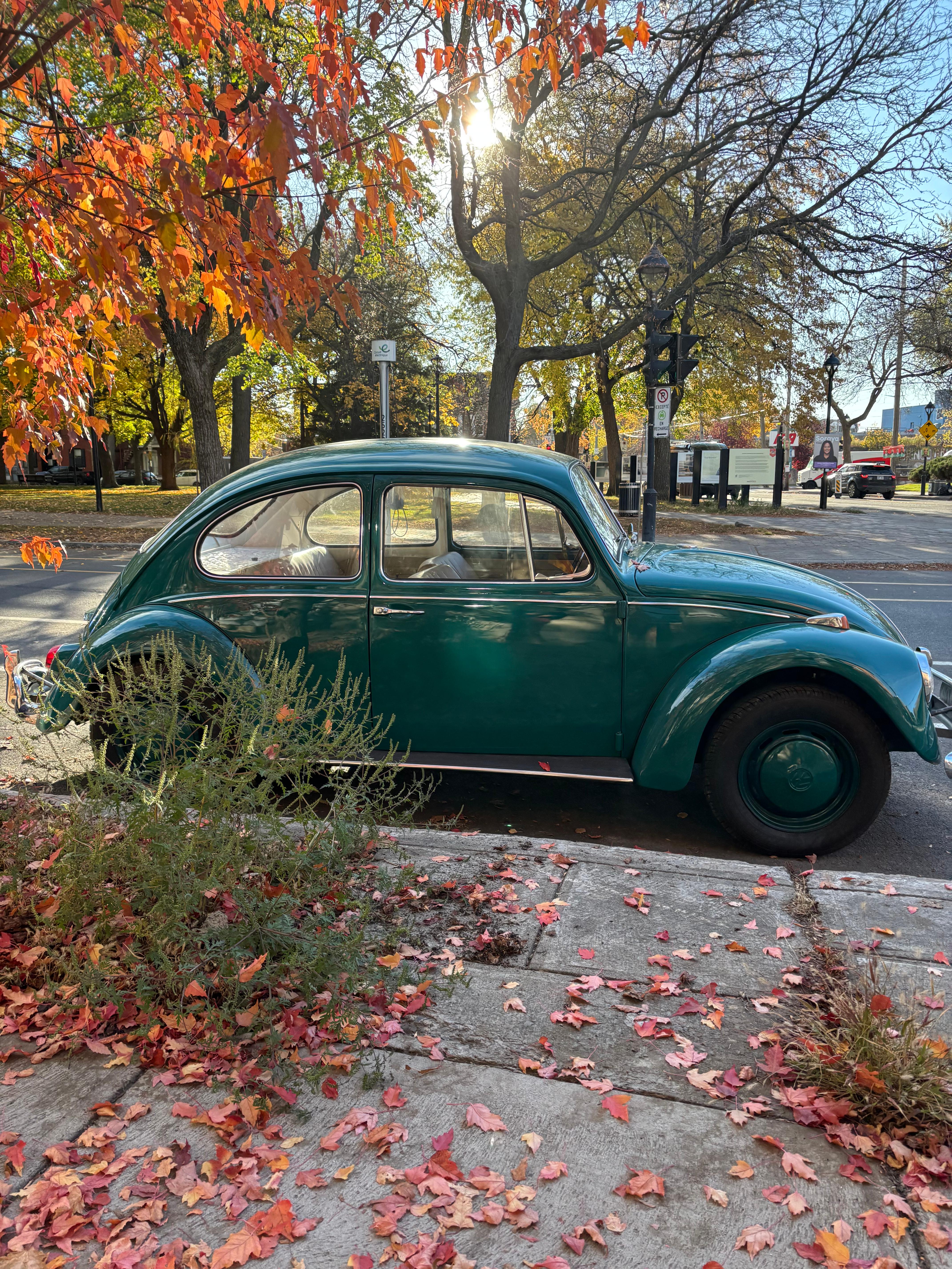 Volkswagen Beetle 1967 à Montréal, QC
