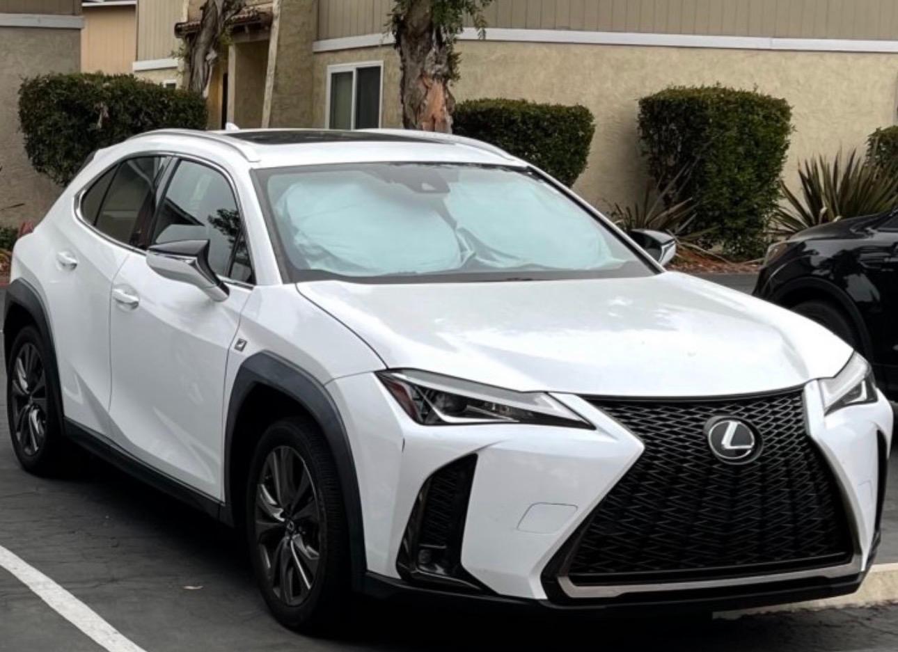 Lexus UX 2019 in 