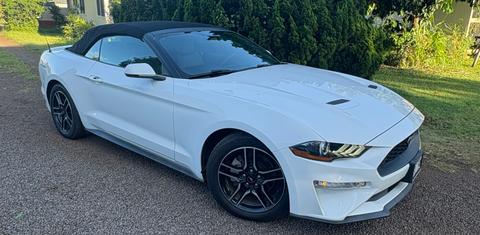 Ford Mustang 2019
