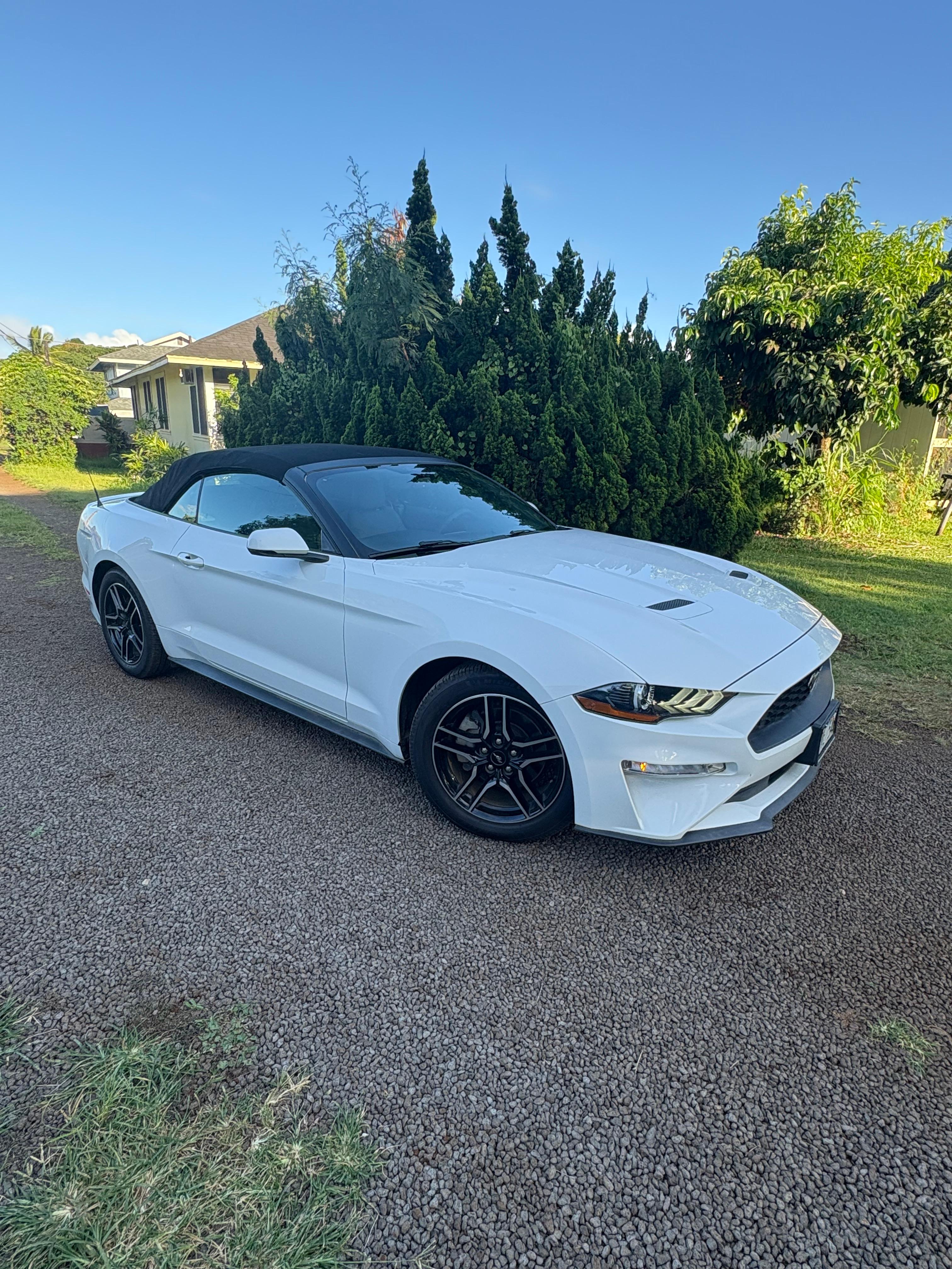 Ford Mustang 2019 in Lihue, HI