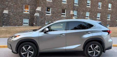 Lexus NX 2020