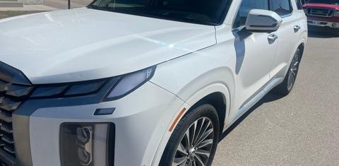 Hyundai Palisade 2024
