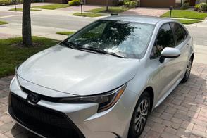 Toyota Corolla car