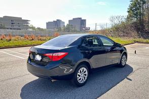 Toyota Corolla car
