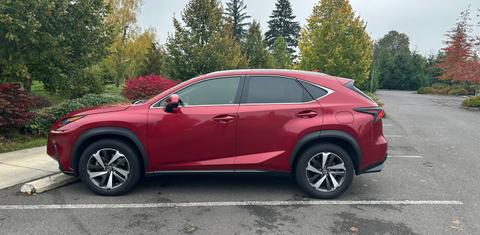 Lexus NX 2019