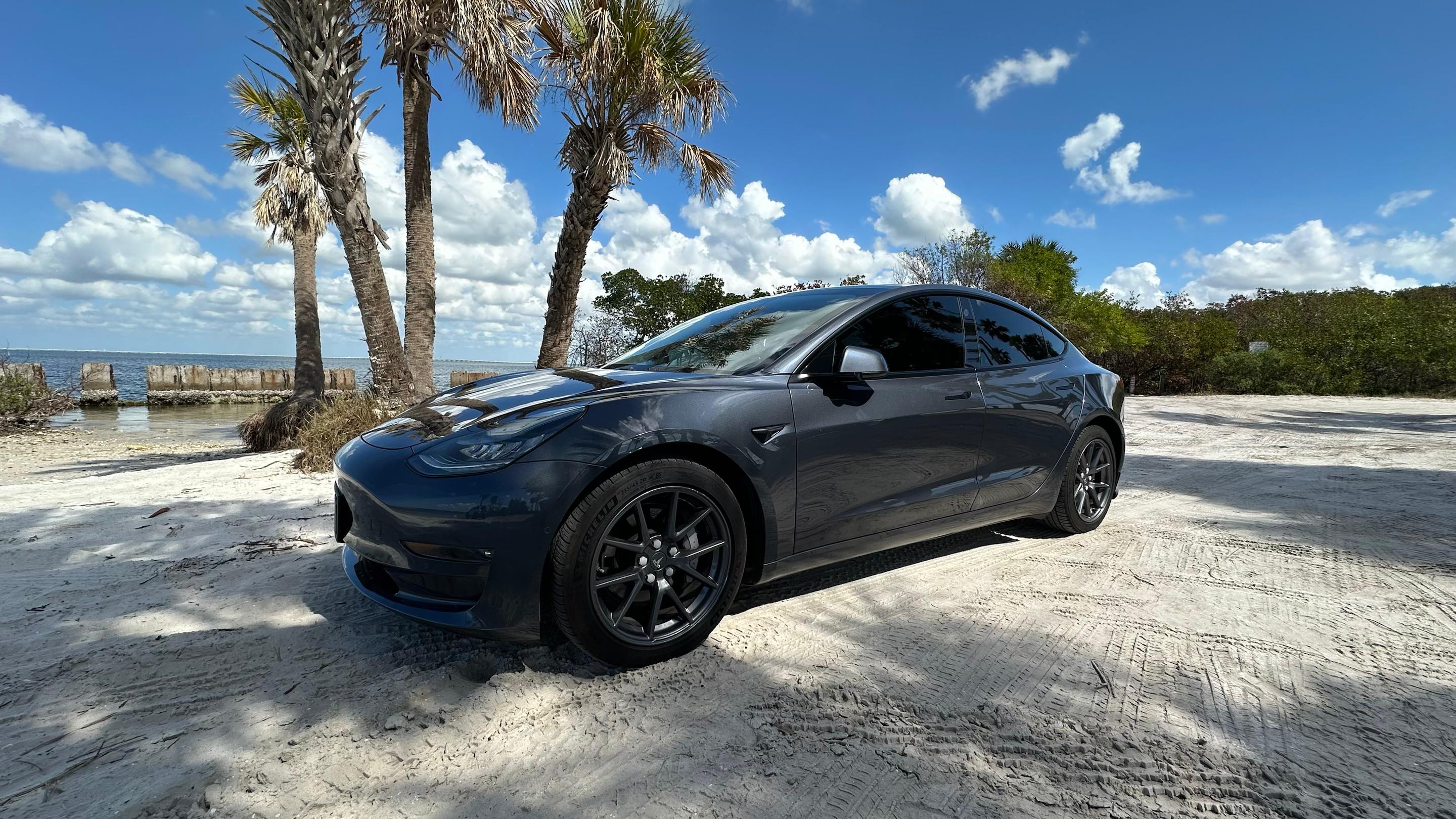 Tesla Model 3 2021 in Tampa, FL