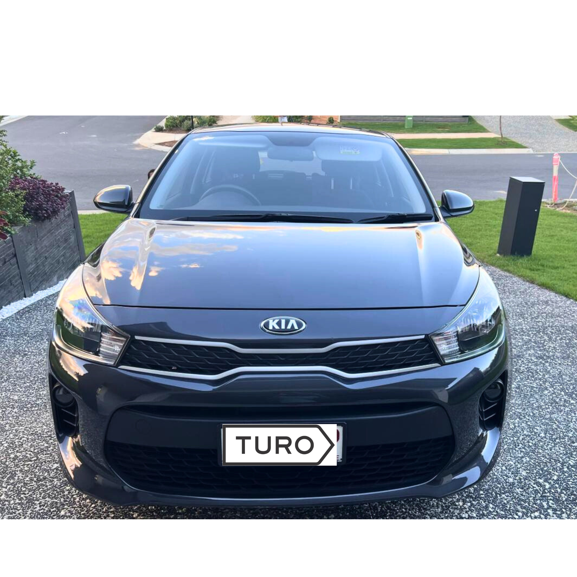 Kia RIO 2018 in Queens Domain