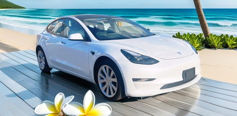 Tesla Model 3 2022