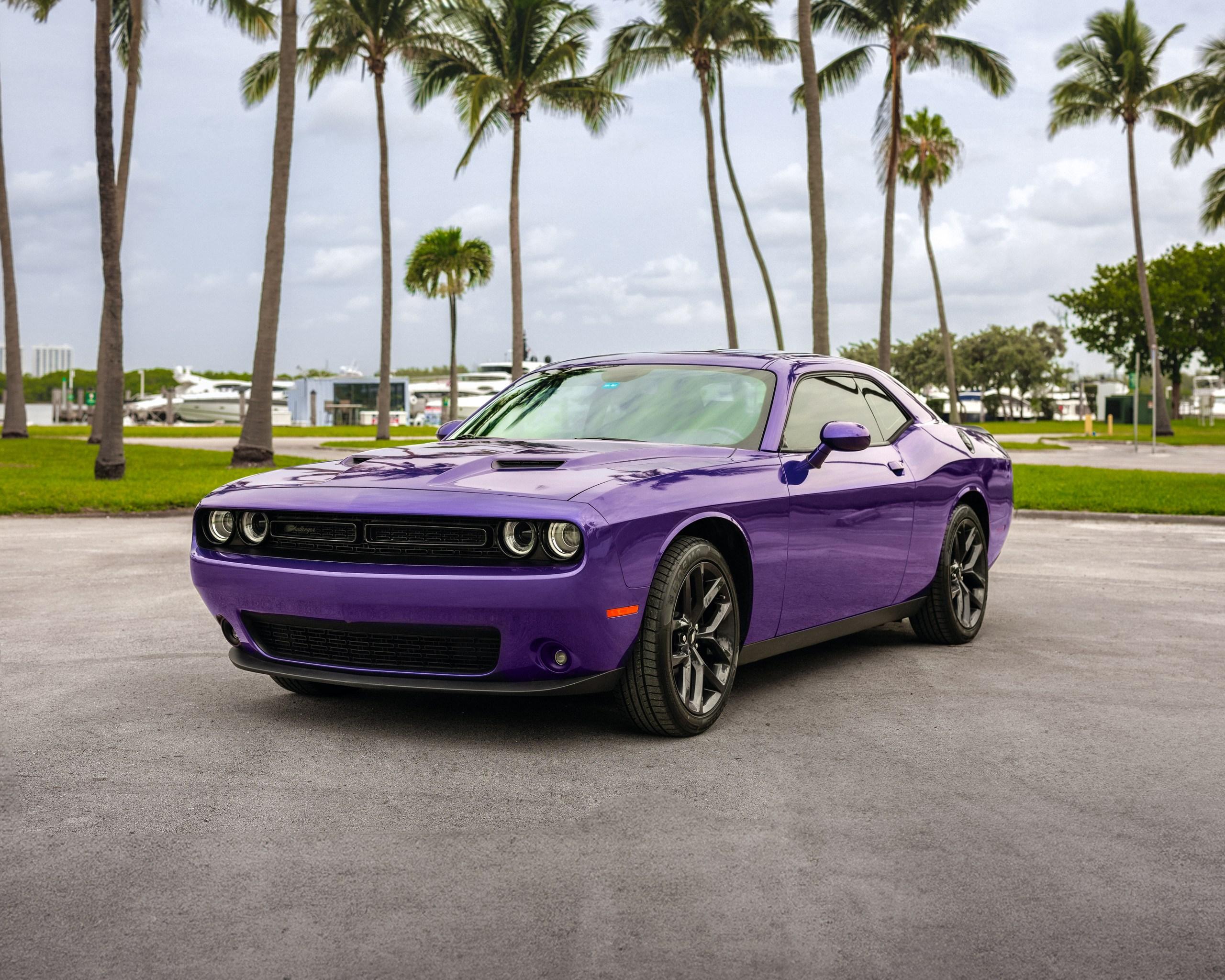Dodge Challenger 2019 rental in Miami, FL by MY CAR RENT | Turo