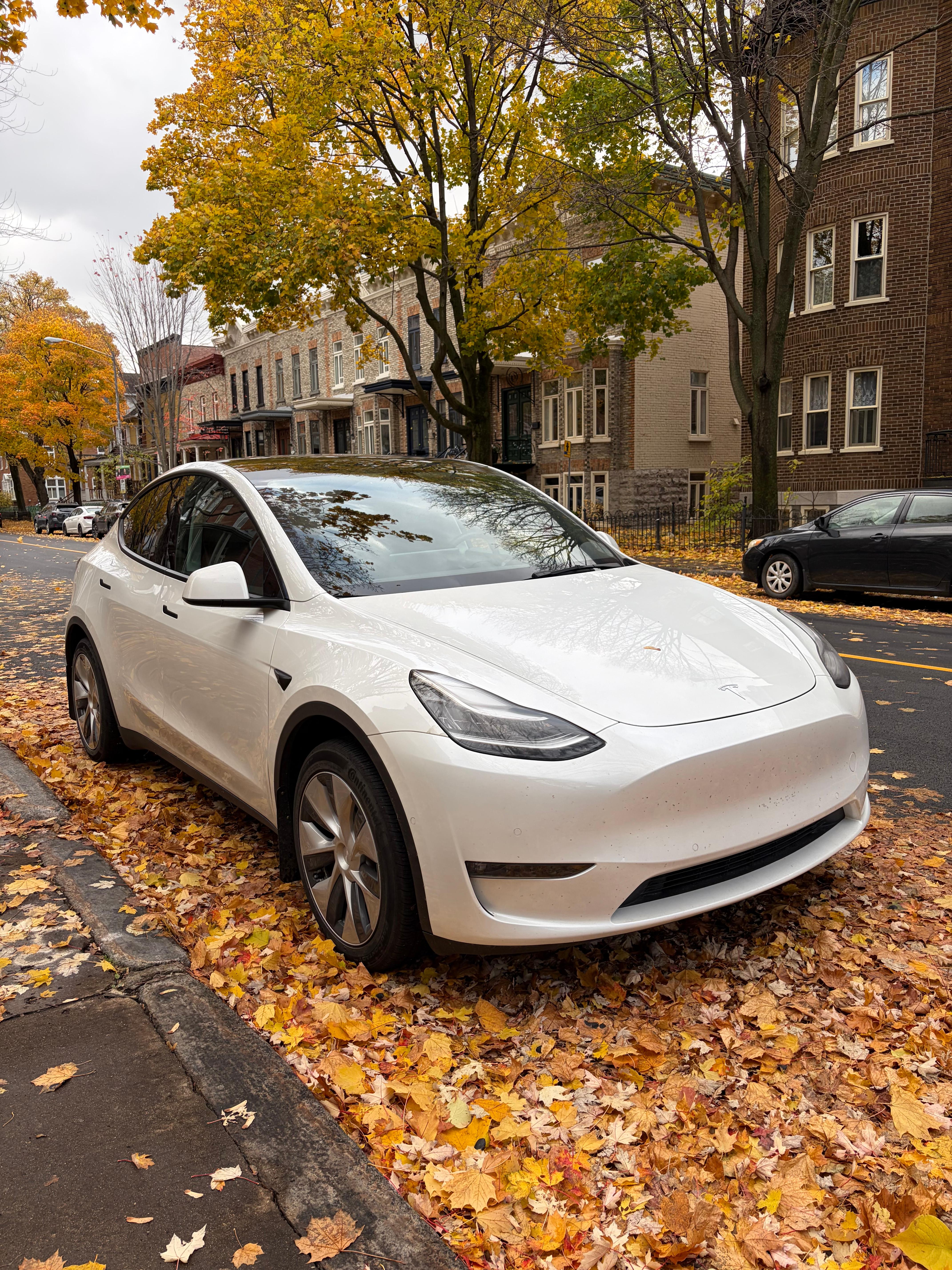 Tesla Model Y 2021 in Québec City, QC