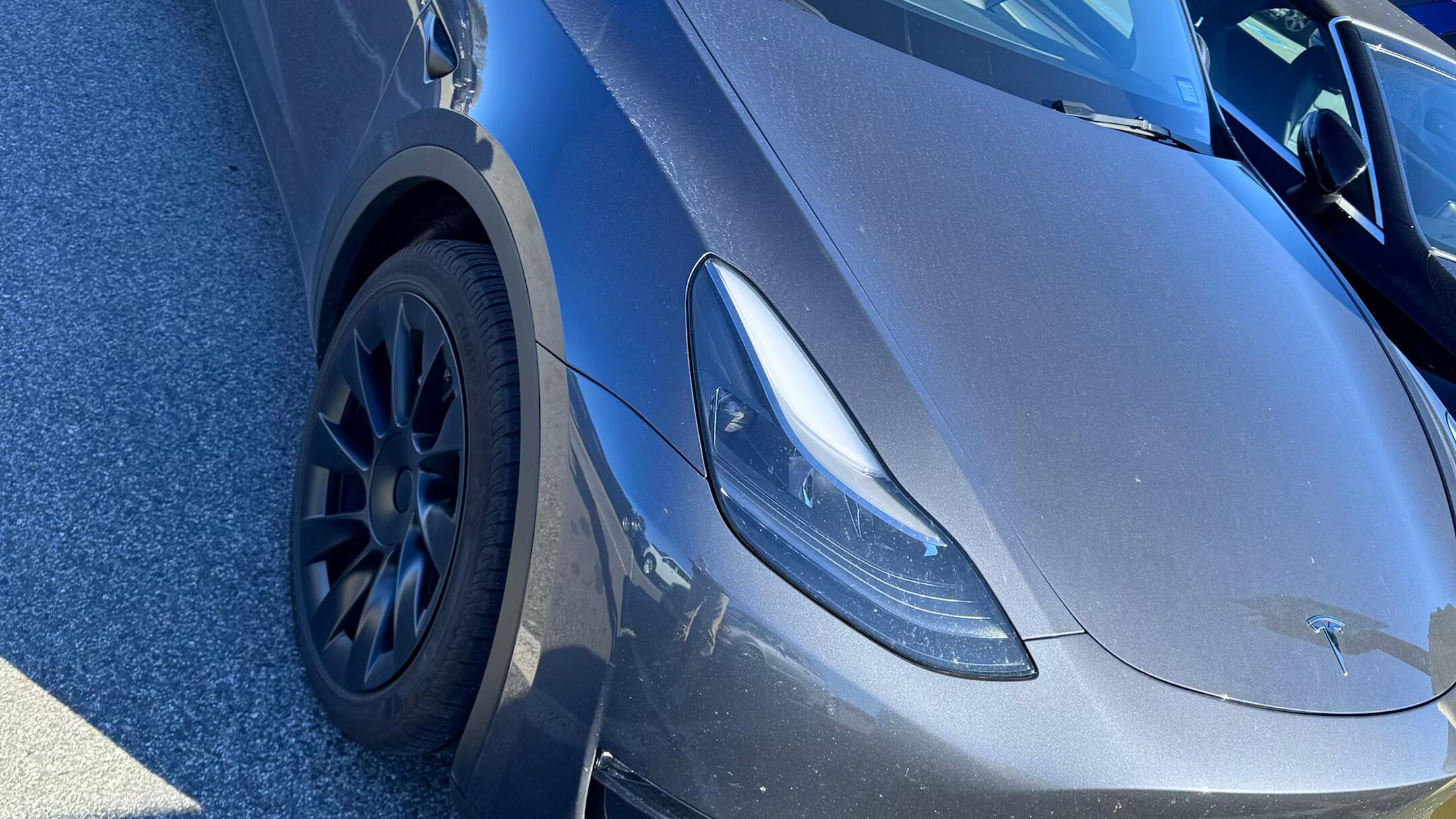 Tesla Model Y 2023 in Portland, ME