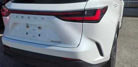 Lexus NX 2022
