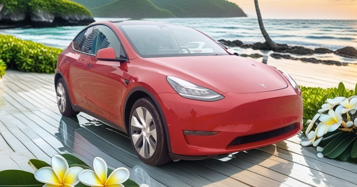 2021 Tesla Model Y