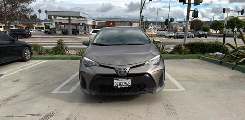 Toyota Corolla 2019