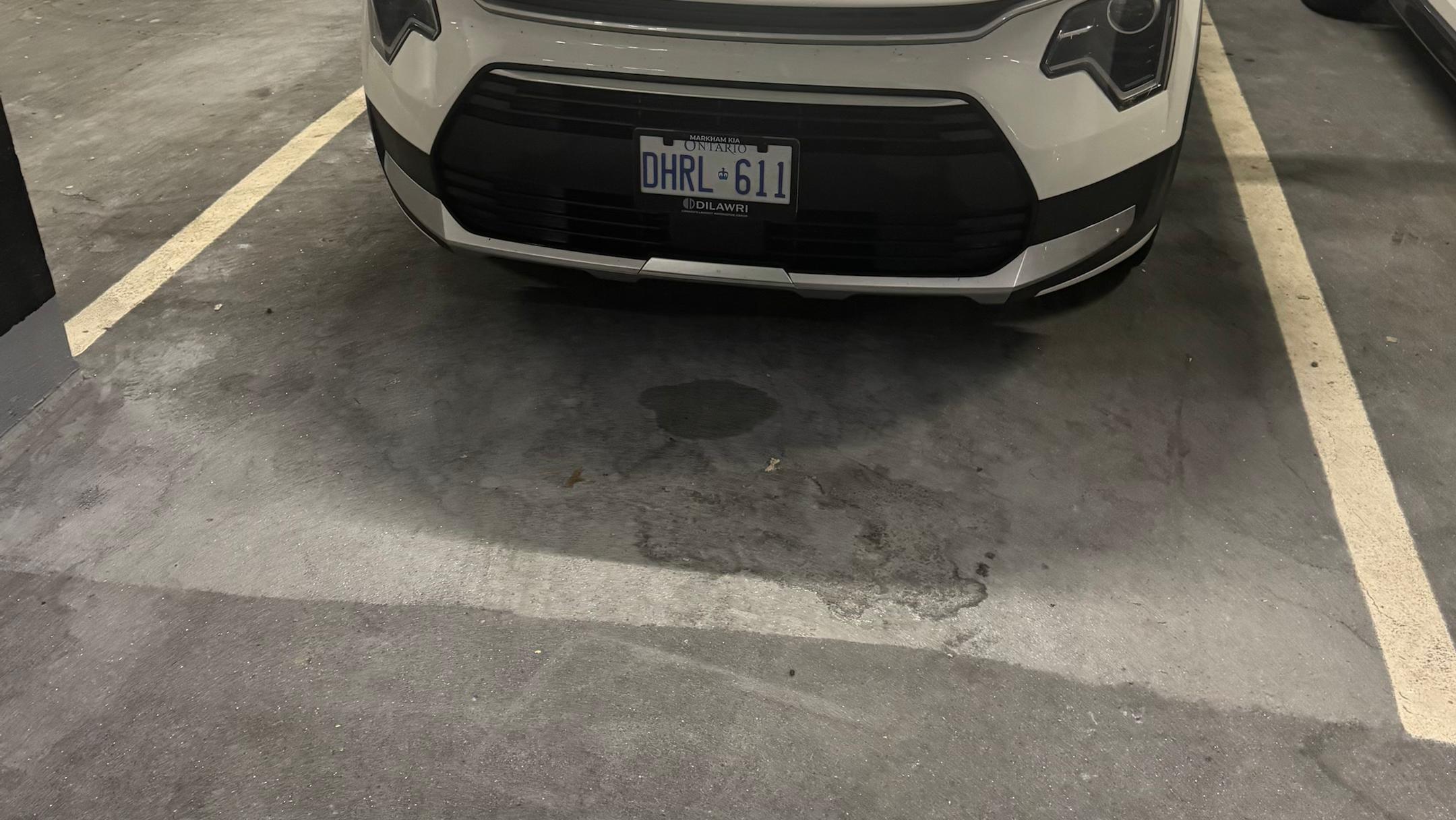 Kia Niro 2026 in Markham, ON