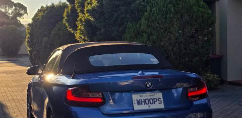 BMW 2 SERIES 2015