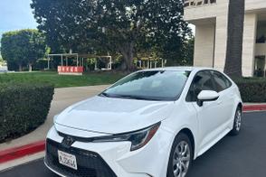 Toyota Corolla car