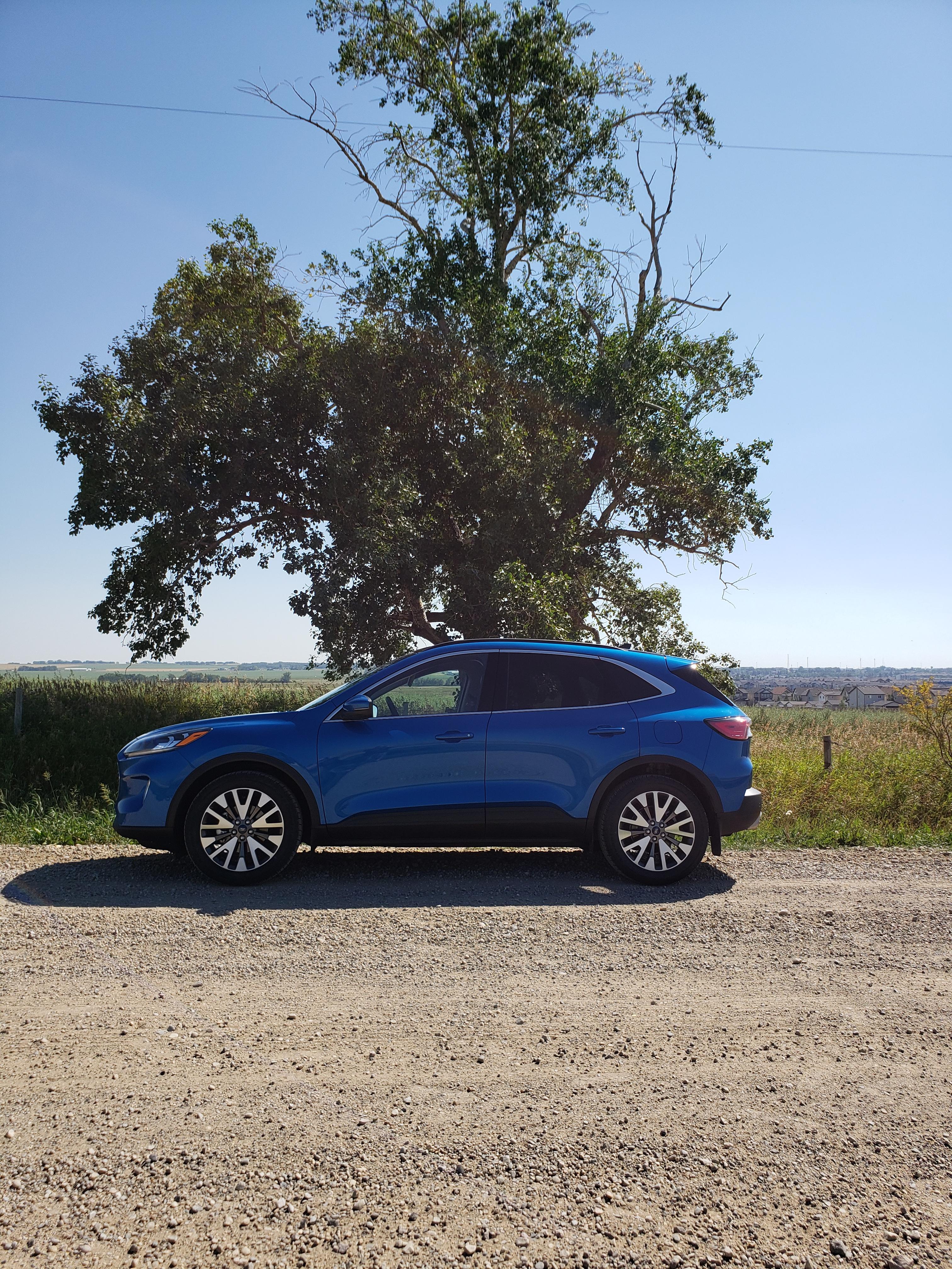Ford Escape Hybrid 2020 à 
