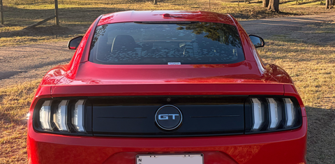 Ford MUSTANG 2019