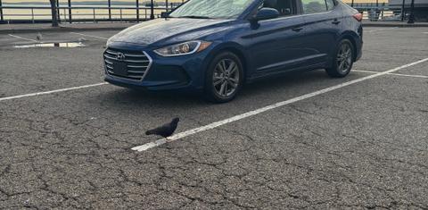 Hyundai Elantra 2018