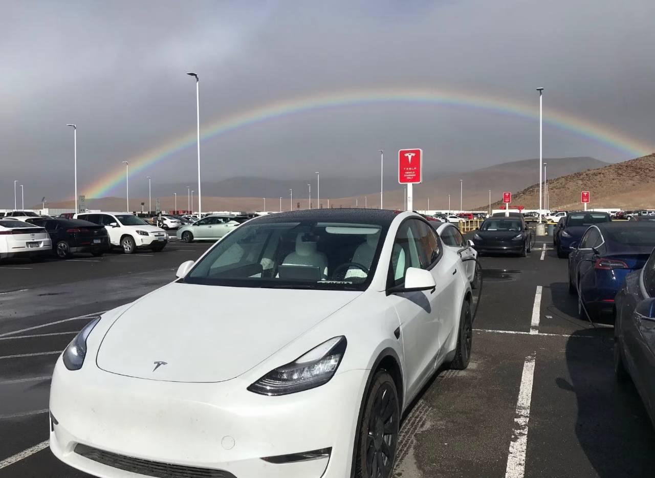 Tesla Model Y 2020 in Reno, NV