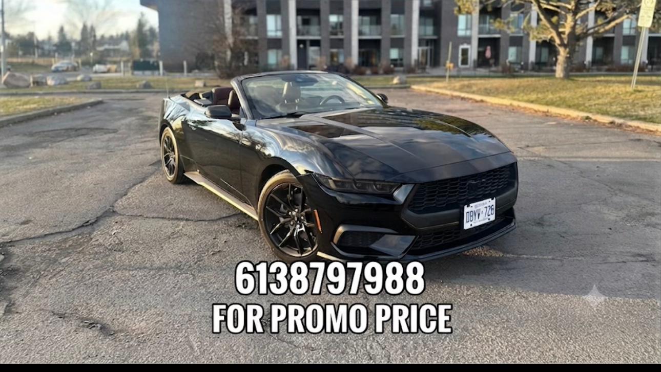 Ford Mustang 2024 in Ottawa, ON