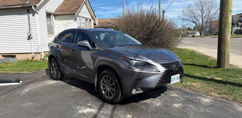 Lexus NX 2019