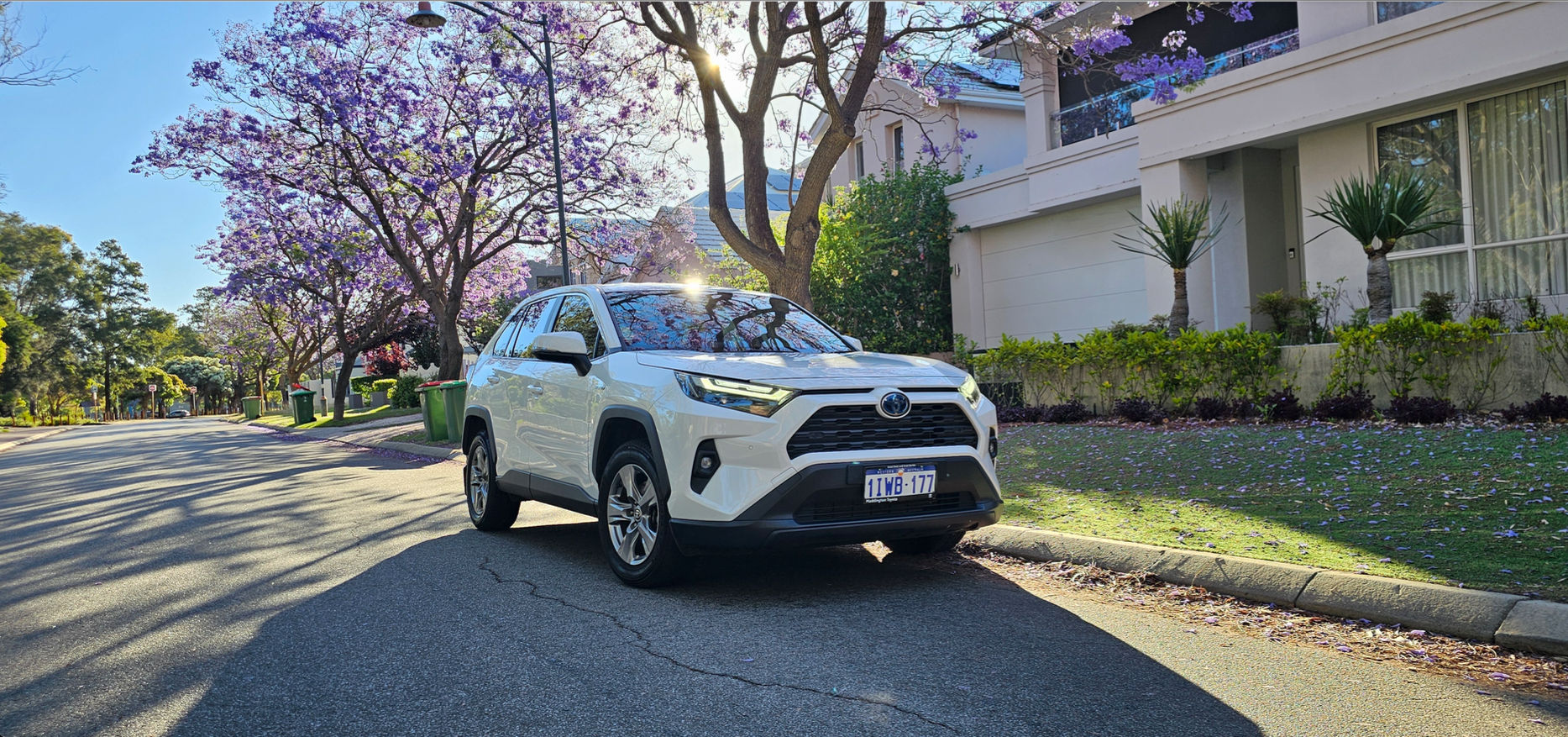 Toyota RAV4 2024 in Maylands