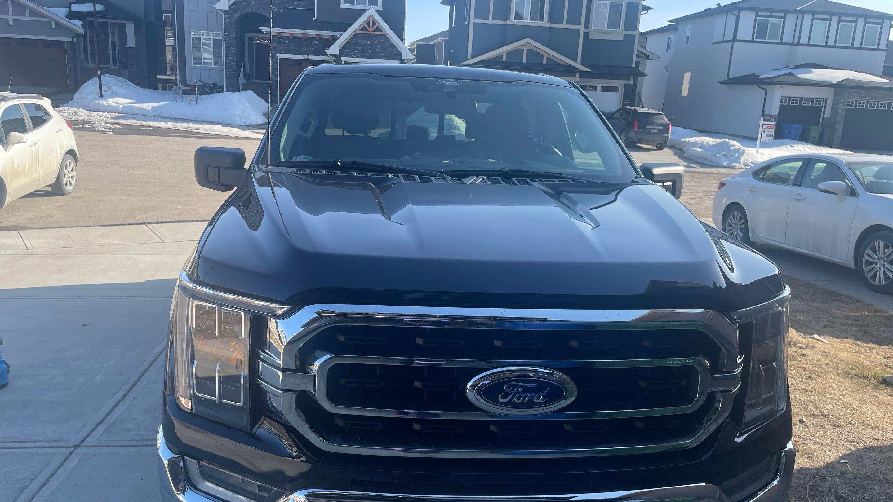 Ford F-150 2021 à 