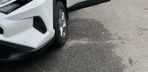 Toyota RAV4 2025