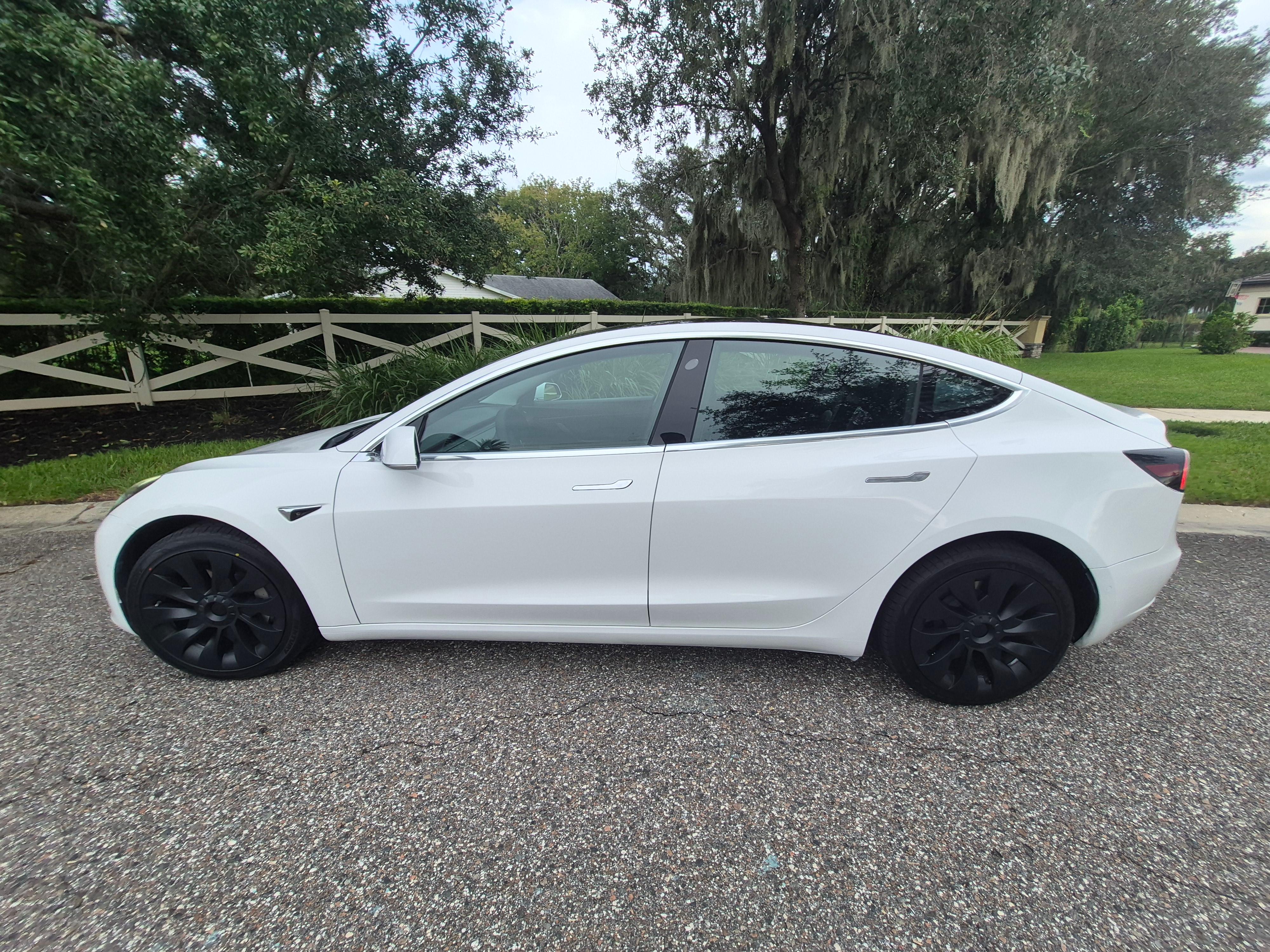 Tesla Model 3 2020 in Winter Garden, FL