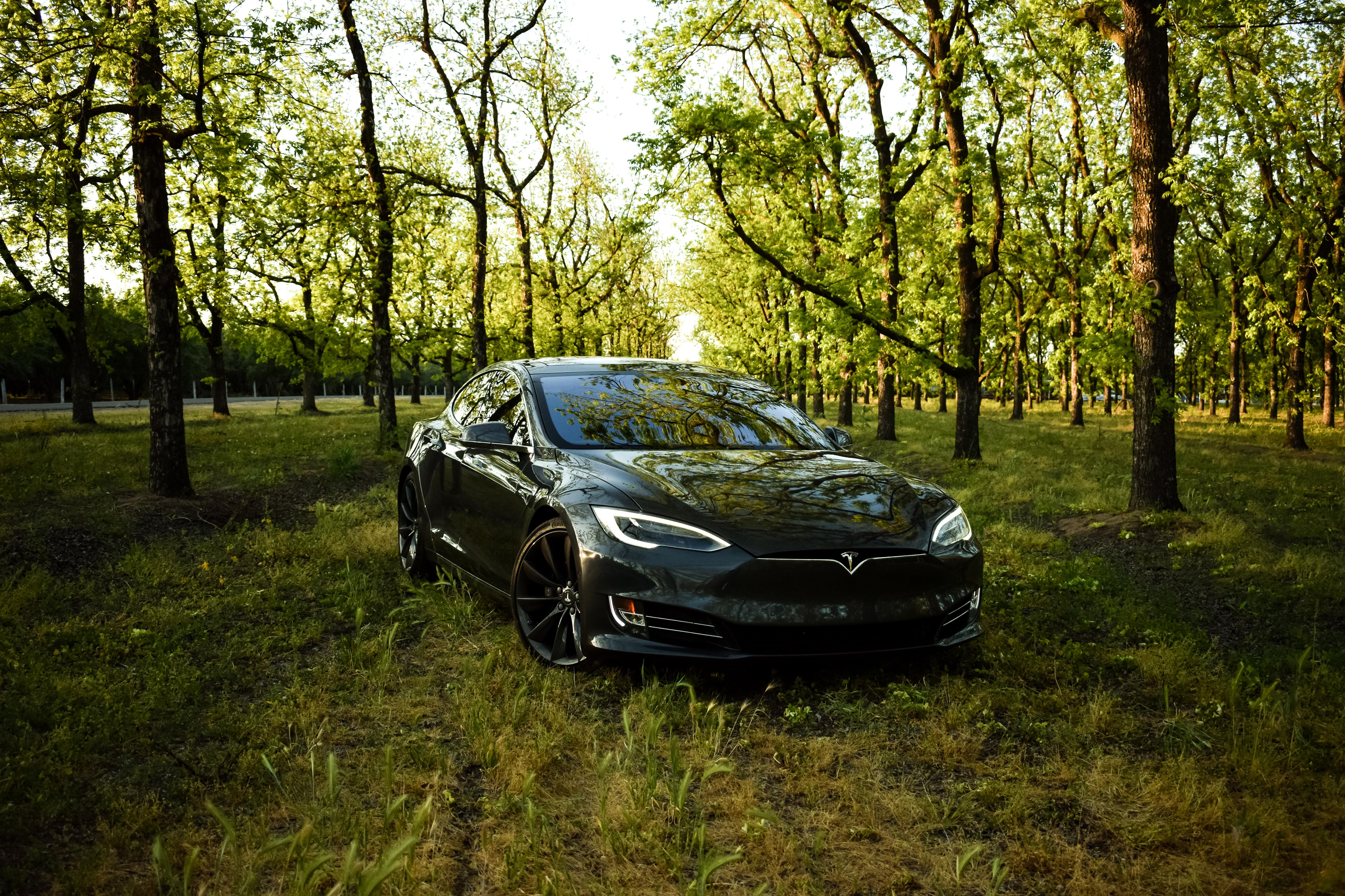 Tesla Model S 2016 in Newark, CA