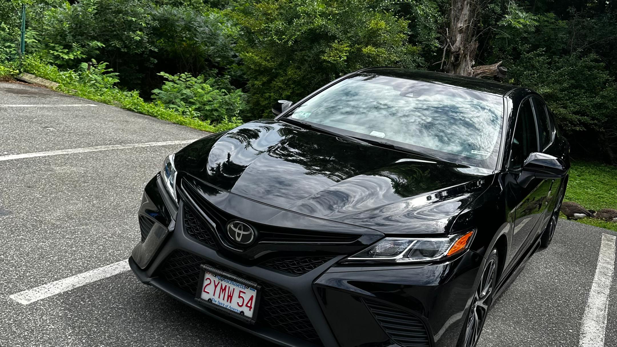 Toyota Camry 2019 in Watertown, MA