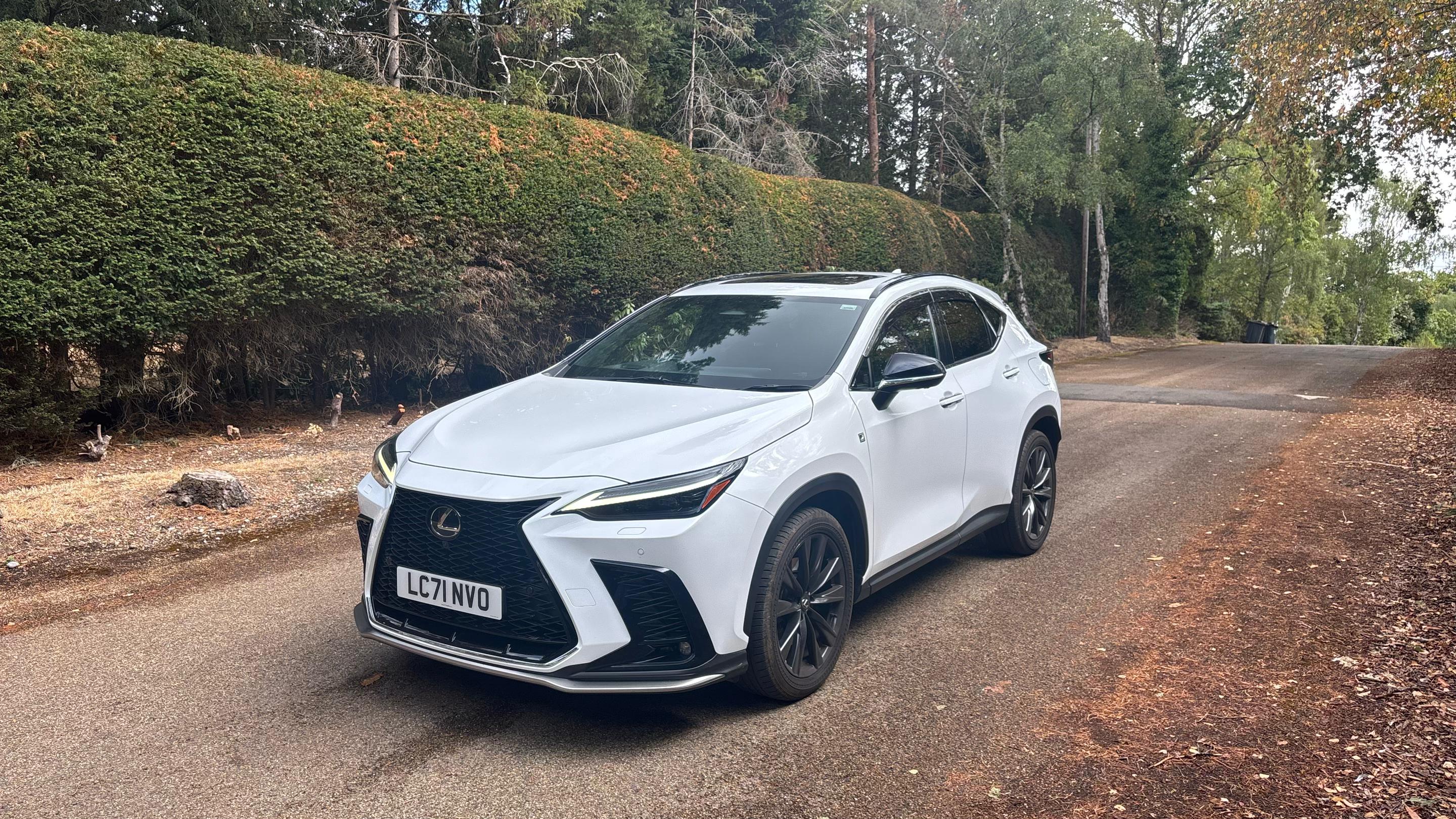 Lexus NX450h+ 2022 in Mitcham