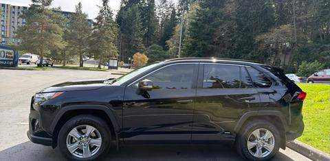 Toyota RAV4 Hybrid 2024