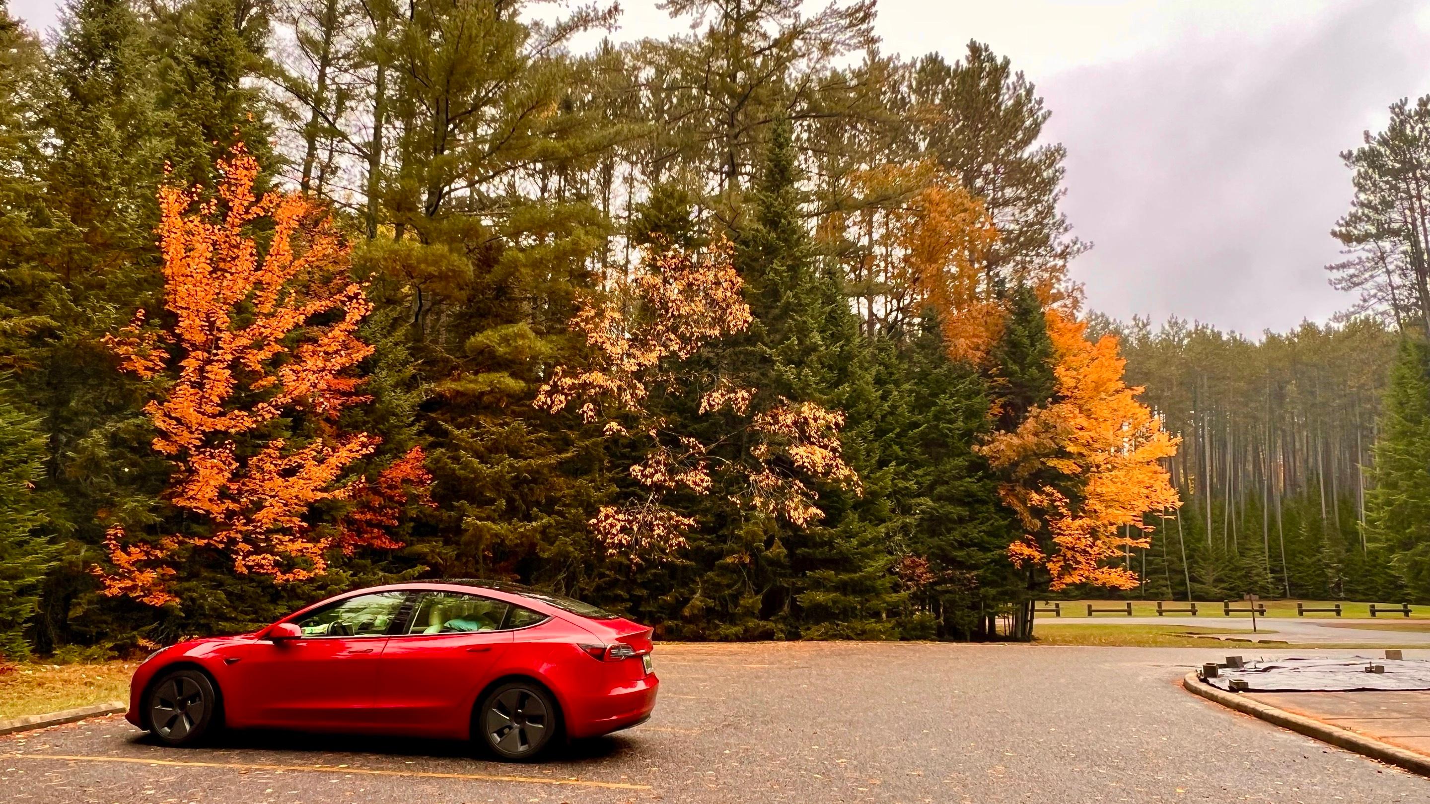 Tesla Model 3 2021 in Hackleburg, AL
