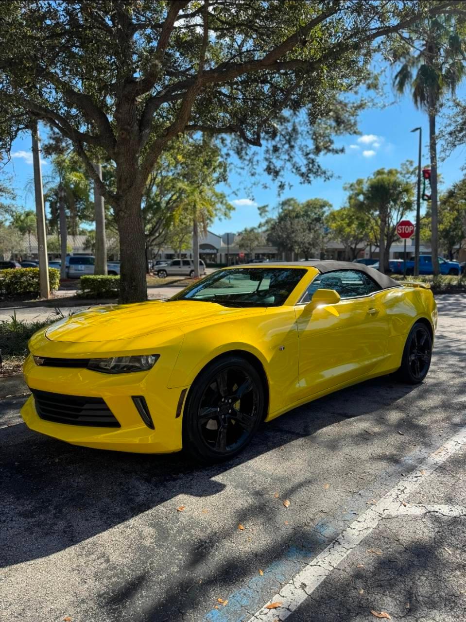 Chevrolet Camaro 2016 in 