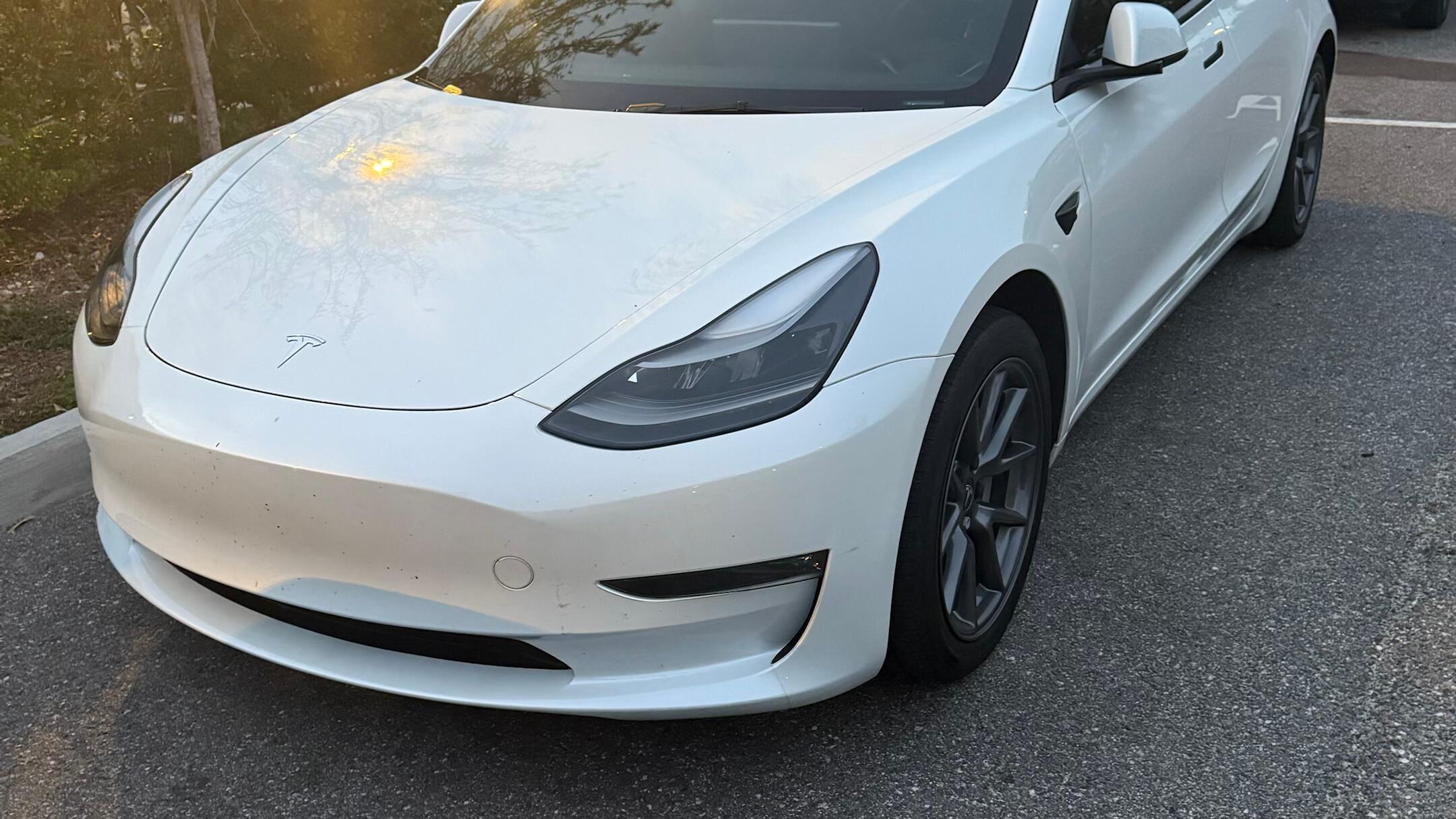 Tesla Model 3 2023 in Tampa, FL