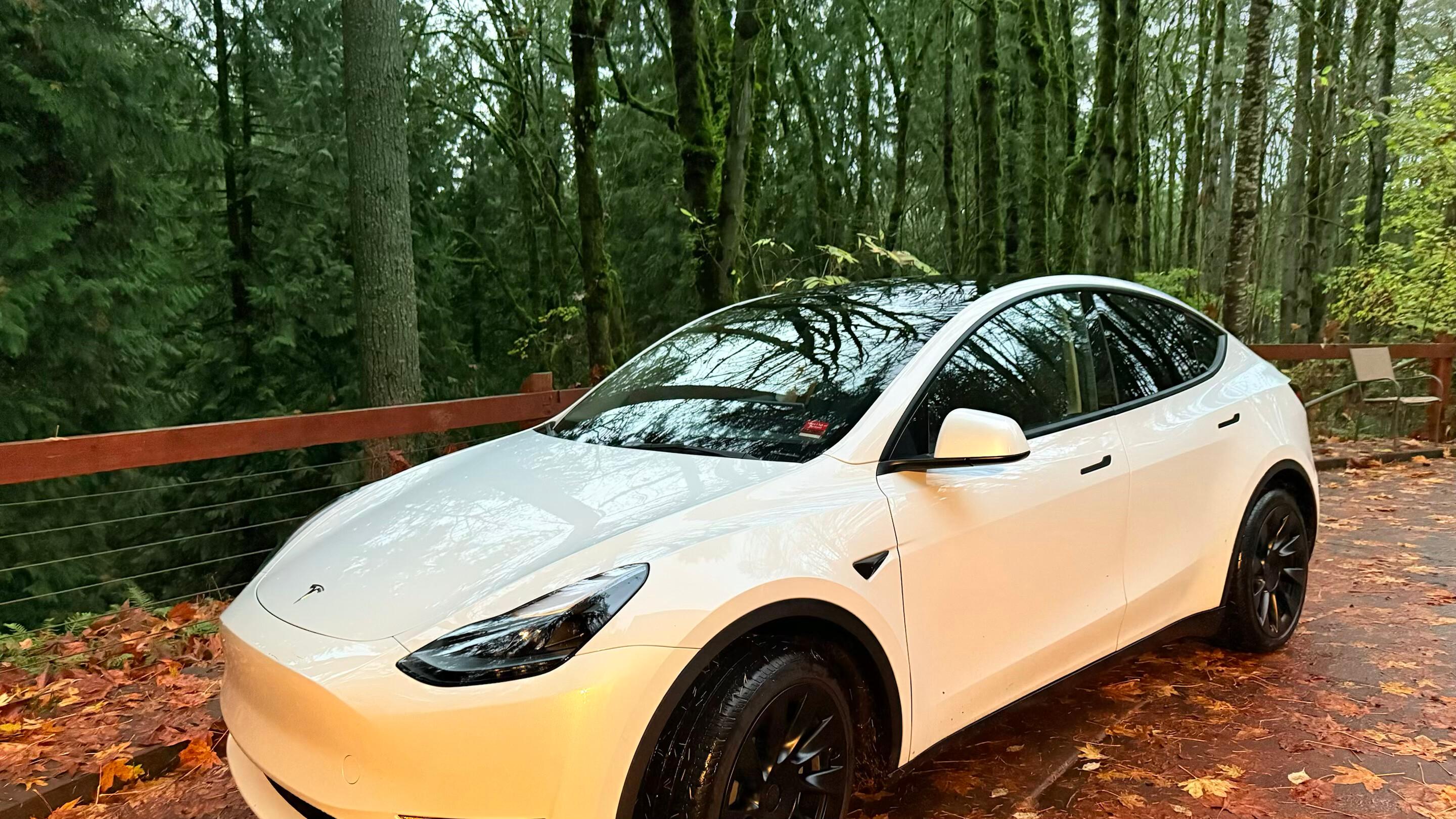 Tesla Model Y 2023 in Portland, OR