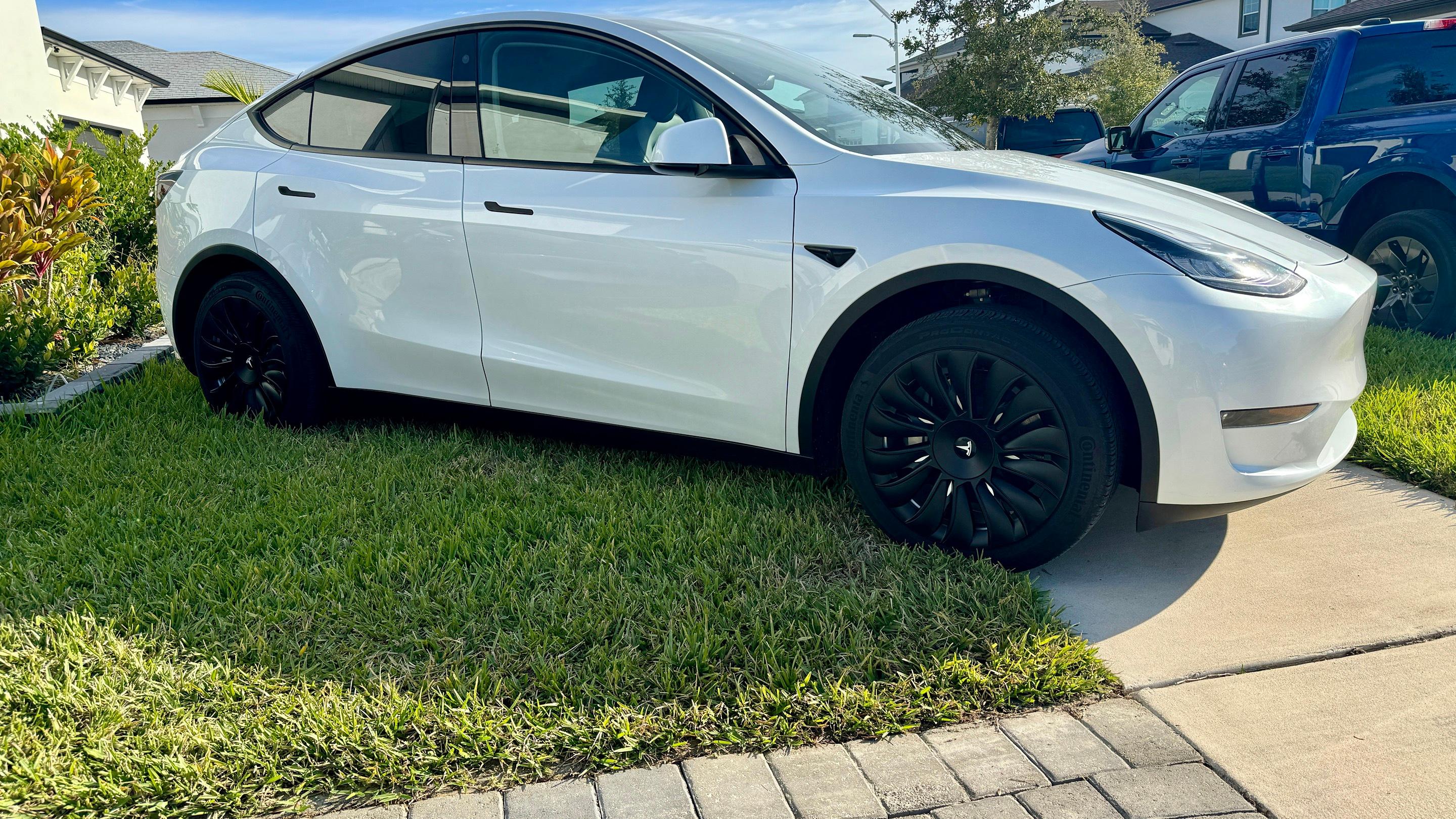 Tesla Model Y 2023 in Wesley Chapel, FL