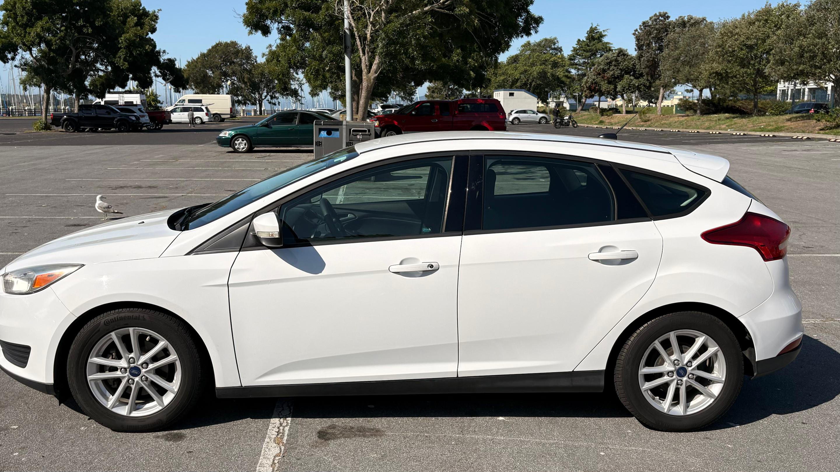 Ford Focus 2017 in 