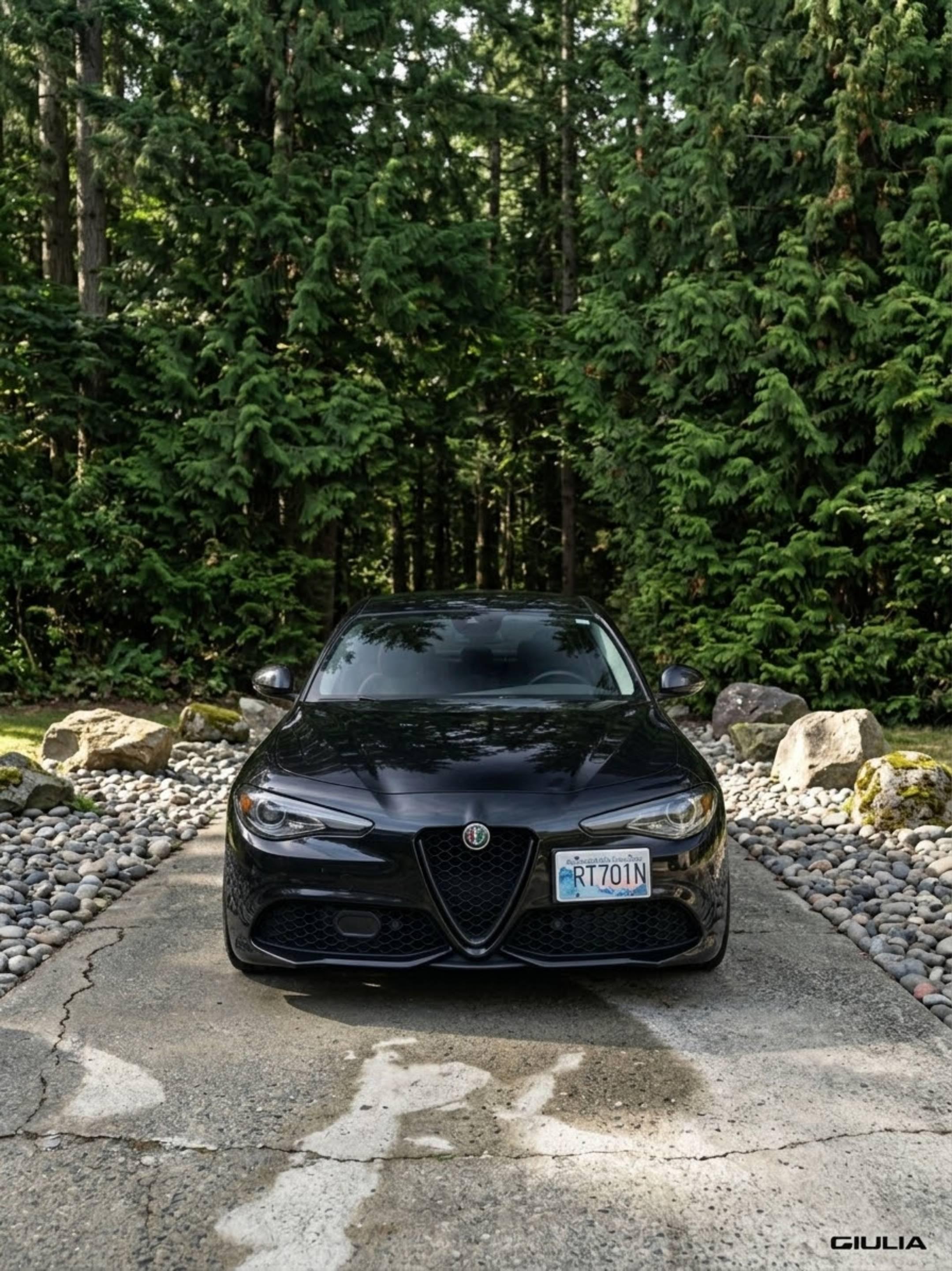 Alfa Romeo Giulia 2018 in Abbotsford, BC