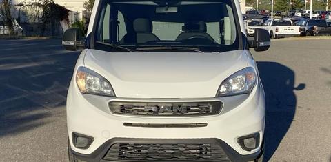 Ram ProMaster City Cargo 2022