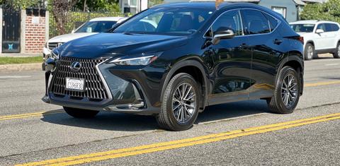 Lexus NX 2024