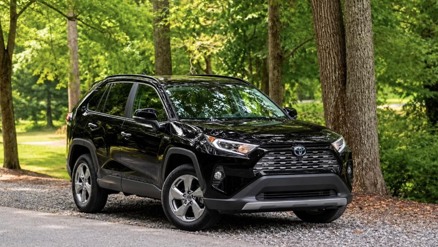 Toyota RAV4 Hybrid 2019 in College Park, MD