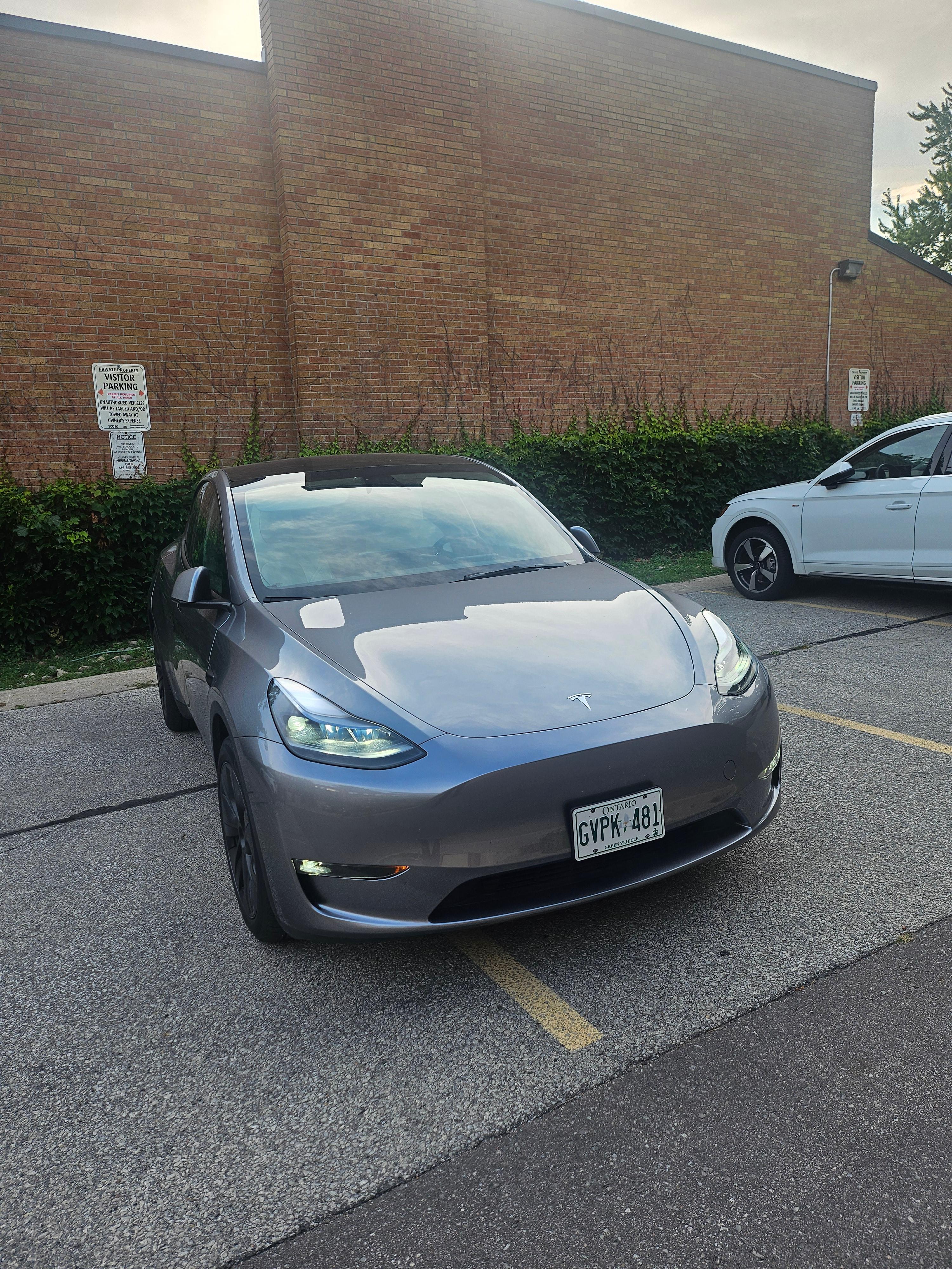Tesla Model Y 2024 à Toronto, ON