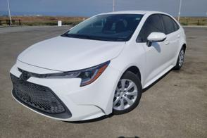 Toyota Corolla car