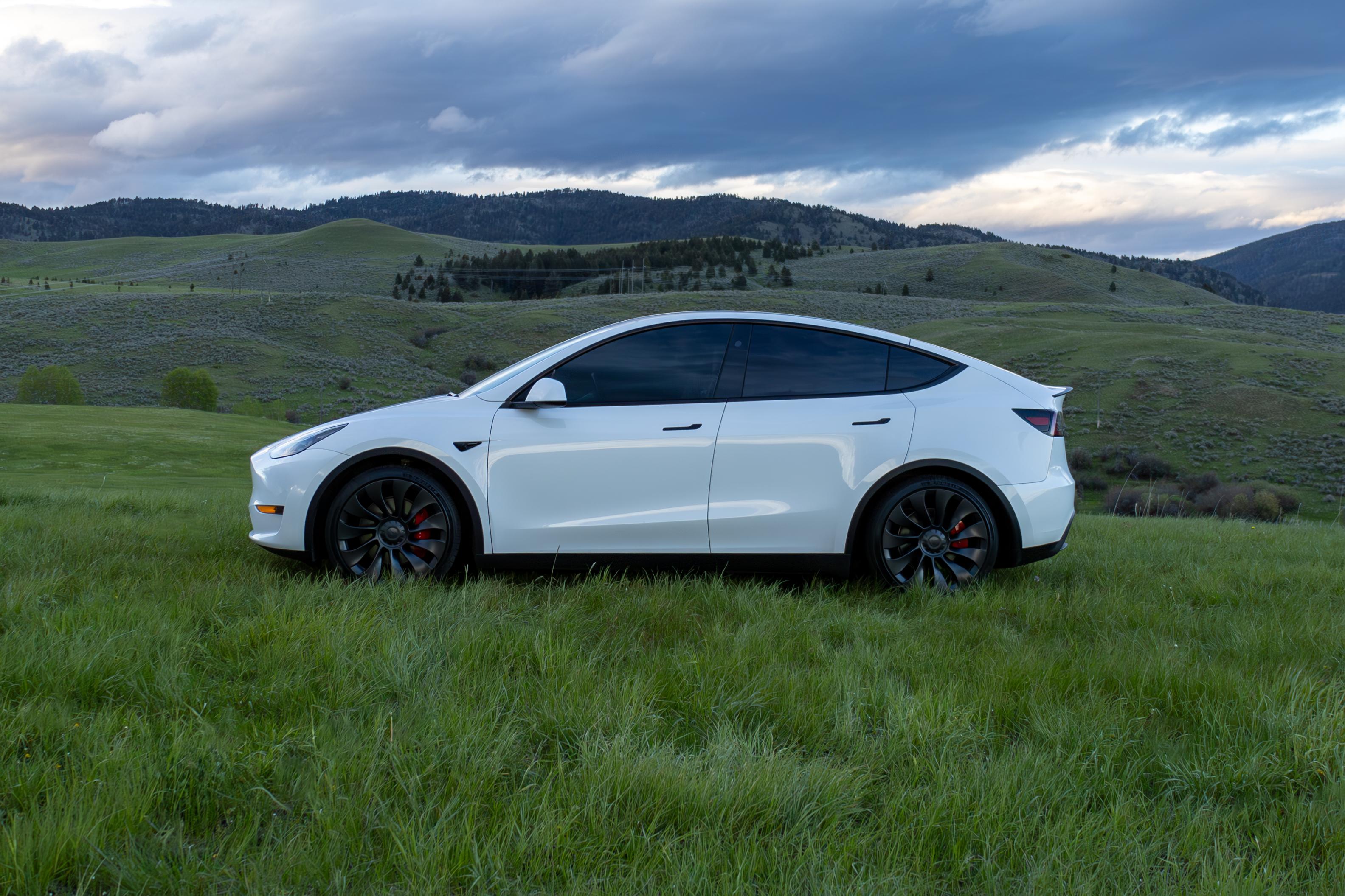 Tesla Model Y 2023 in Bozeman, MT